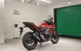 YAMAHA YZF-R25 A 2007 RG43J