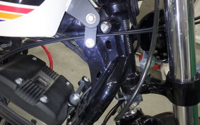 HARLEY XL1200XS 2019