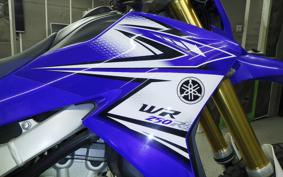 YAMAHA WR250R 2021 DG15J