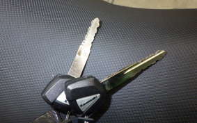 KAWASAKI NINJA 400 2019