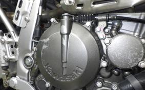 KAWASAKI KLX250 2016 LX250E