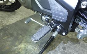 SUZUKI DL650 ( V-Strom 650 ) A 2025 C733M