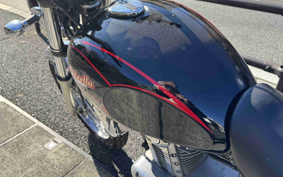 KAWASAKI ESTRELLA RS BJ250A