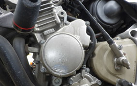 HONDA HORNET 250 MC31