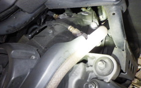 YAMAHA CYGNUS 125 XSR 3 SED8J