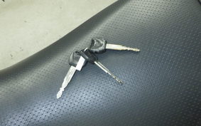 HONDA FTR223 2001 MC34