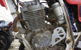 HONDA XR250R