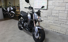 KAWASAKI Z125 PRO BR125H