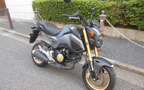 HONDA GROM JC75