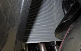 KAWASAKI NINJA 1000 SX 2025 ZXT02K