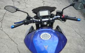 YAMAHA MT-25 ABS RG43J