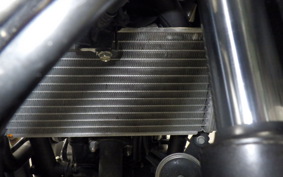 HONDA CBR250R A 2024 MC41