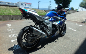 SUZUKI GSX250R DN11A