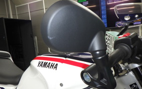 YAMAHA XSR900 GP 2024 RN96J