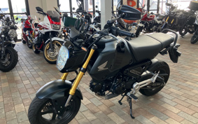 HONDA GROM JC92