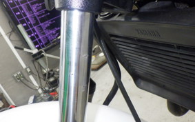YAMAHA RZ 250 2019 4L3