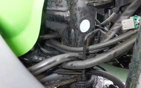 KAWASAKI NINJA 250 ABS EX250L