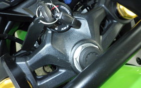 KAWASAKI ZX-4RR 2024