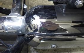 KAWASAKI W800 2025 EJ800E