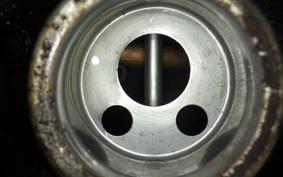 HONDA MONKEY 125 2026 JB02