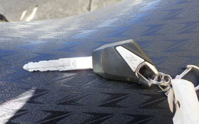 KAWASAKI Z1000 Gen.5 2019 ZXT00W