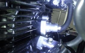 KAWASAKI Z1000 2024 Z1F