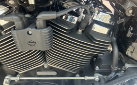 HARLEY FLFBS 2021 YGK