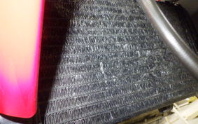 YAMAHA TRX850 2002 4NX