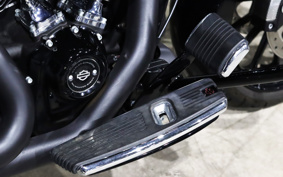 HARLEY FLHXS 2020 KRP