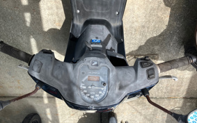 HONDA  TACT  BASIC  AF79