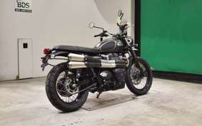 TRIUMPH SCRAMBLER 900 2021