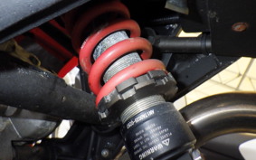 OTHER +ﾒｶﾞﾘ250R