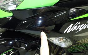 KAWASAKI ZX-25R ZX250E
