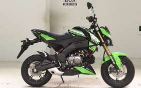 KAWASAKI Z125 PRO BR125H