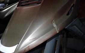 SUZUKI ADDRESS V100 2024 CE11A