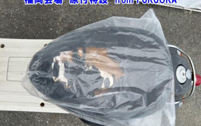 HONDA JOLNOC RARE