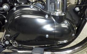 KAWASAKI W800 CAFE 2020 EJ800B