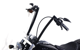 HARLEY FXSB 2016 BFV
