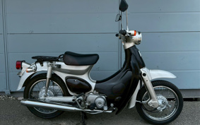 HONDA LITTLE CUB C50