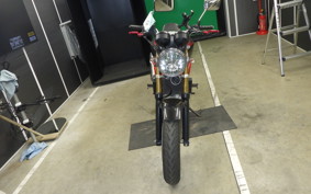 HONDA VTR 250 2024 MC33