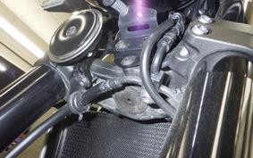 KAWASAKI Z900RS 2022 ZR900C