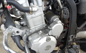 KAWASAKI KLX250D TRACKER X LX250V