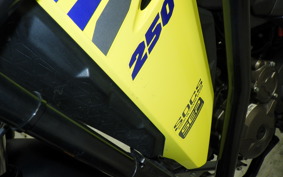 SUZUKI Vｽﾄﾛｰﾑ250SX 2022 EL11L