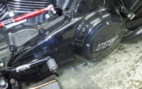 HARLEY FLTRX1920 2024