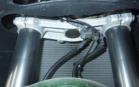 KAWASAKI NINJA 1000SX 2020 ZXT02K