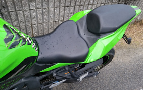 KAWASAKI NINJA ZX-25R ZX250E
