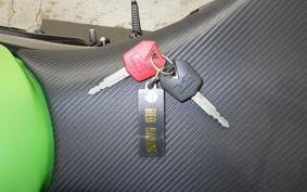 KAWASAKI ZX 10 NINJA R 2010