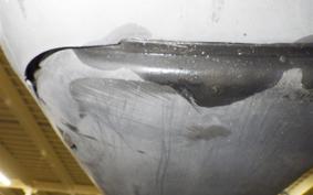 HONDA DIO CESTA