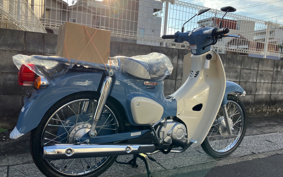 HONDA  SUPER CUB 50 FINAL ED AA09