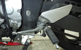 YAMAHA FZR250 Gen.2 R 2021 3LN